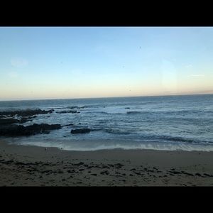 Meet your Posher, Zoey